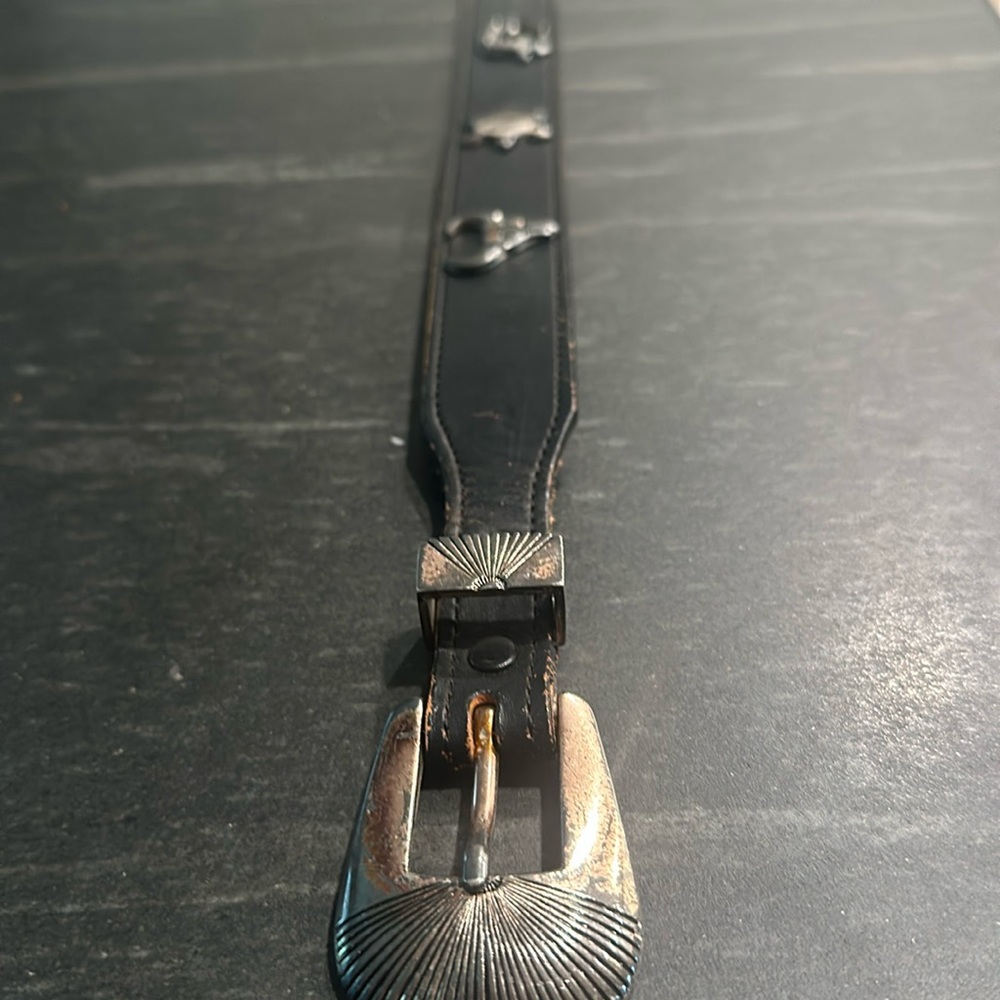 Native southwestern animal belt